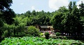 長(zhǎng)沙出發(fā)到花明樓、韶山、張家界國(guó)家森林公園、天門(mén)仙山國(guó)家森林公園四日游